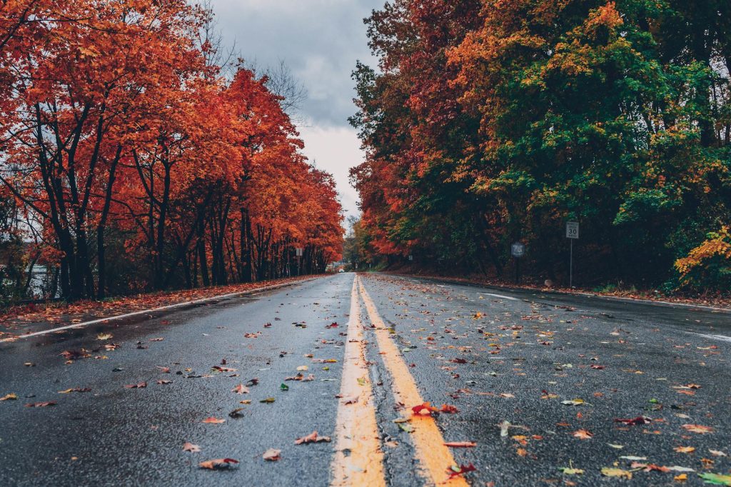 A vibrant autumn scene with colorful foliage lining a wet road on Delmarva