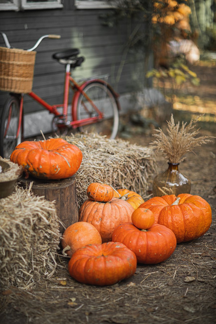 Rustic fall scene with pumpkins, hay bales, and red bicycle outdoors.